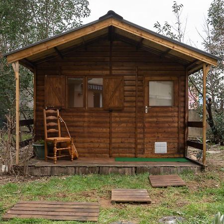 Апартаменти Le Phenix - Hypercentre 16 Personnes Garage Gratuit Wifi Jardin Barbecue Proche Parc Tete D'Or Віллербанн Екстер'єр фото